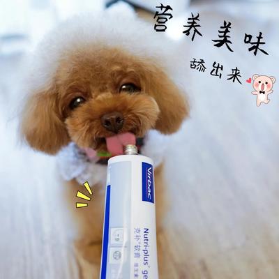 專業(yè)高效，合規(guī)清關 荷蘭寵物魚油膠囊進口報關全程指南
