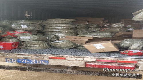 福來(lái)翔鴿具寵物用品生產(chǎn)廠 匠心獨(dú)具，專注寵物食品新篇章